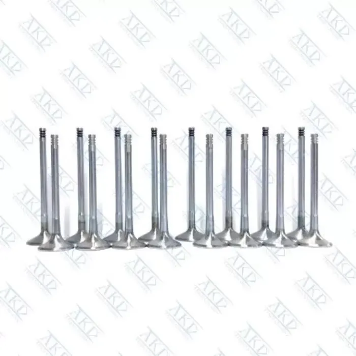 Subap Takimi Rezzo 1,6 16V (In 8 / Ex 8) | AKD ST96182805-96182806 | OEM 96182805 96182806