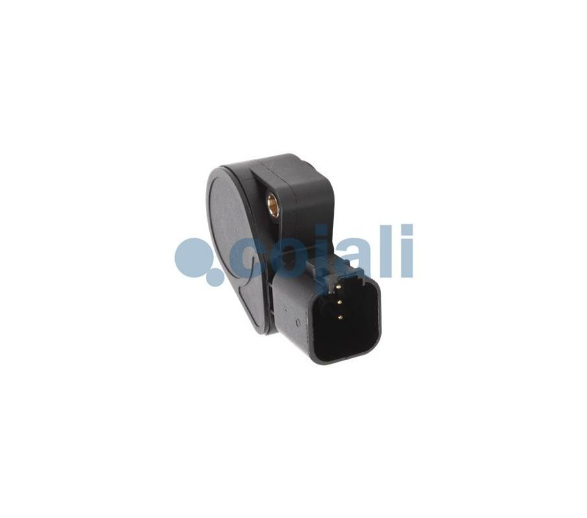 Gaz Pedal Sensorü Renault Euro 3-5 | OEM 7420832163