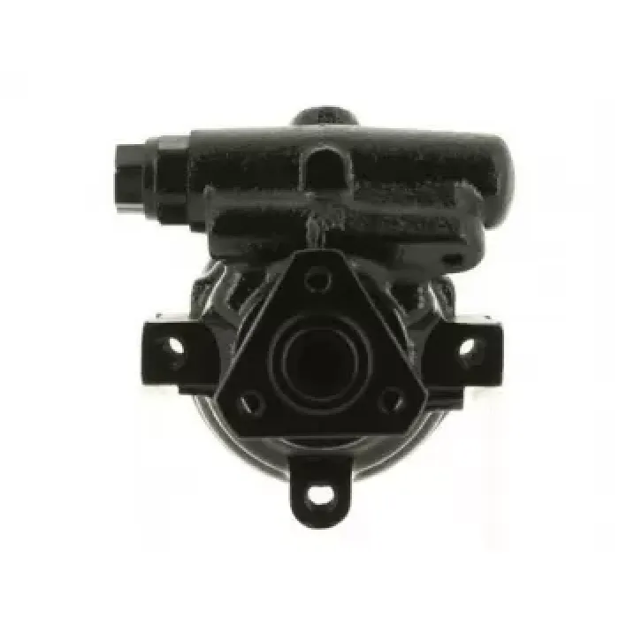 Hidrolik Direksiyon Pompasi Flansli Clio Kangoo 1,5 Laguna Laguna 2 Megane 1 Espace 3 4 Trafic 5 | RAMSAN 211199 | OEM 491108814R