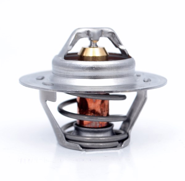 Termostat R11 Flash R9 R19 Dzl Lgn (93 01) Kng Ducato P106 P30P405 Xantia (TH1417,89 / TH6148,89 / V2172) B56 F3R | VERNET TH5108.83 | OEM TH1417.89 TH6148.89 V2172 7700872314