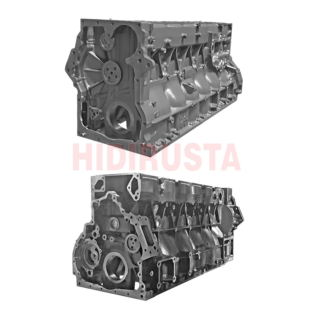 Motor Bloğu D2066 | OEM 51011006212