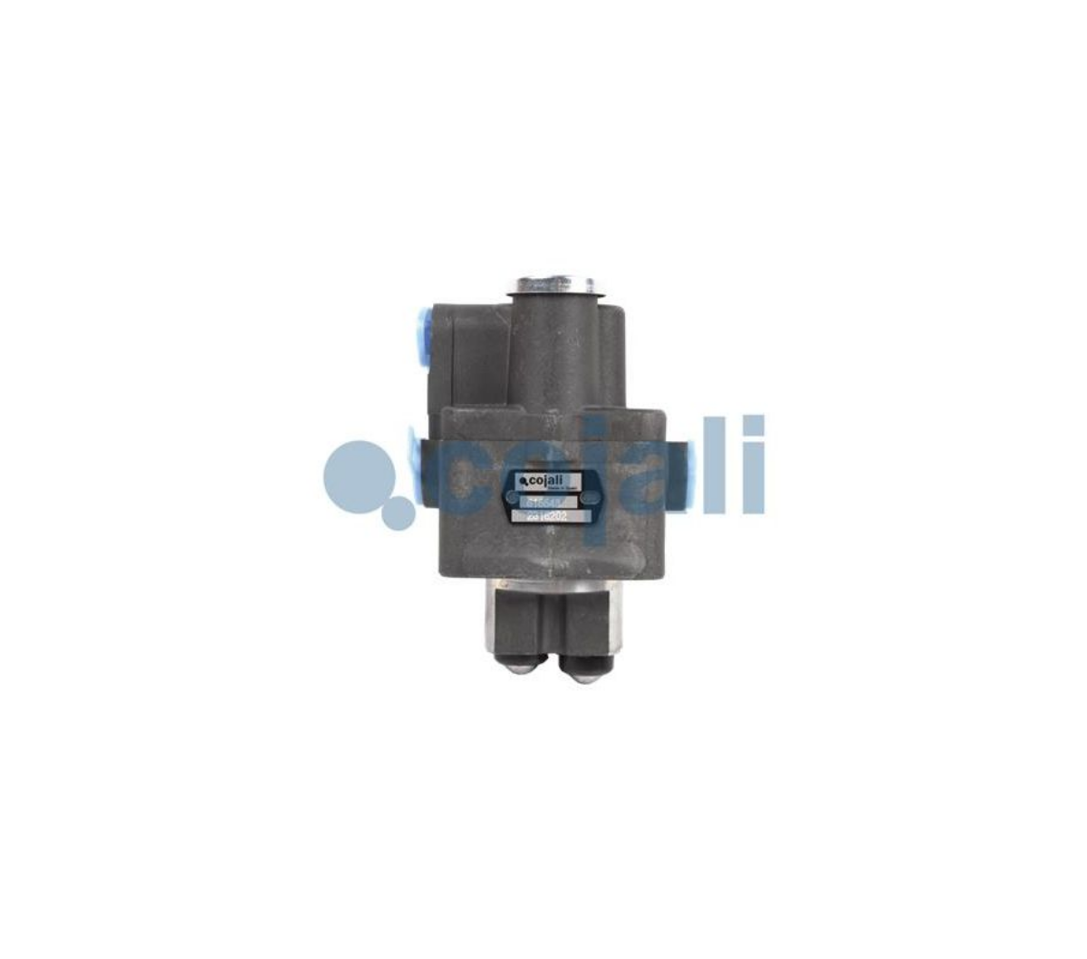 Ventil Çarpma 2521 Zf 9S75 (Bilyali Tip) | OEM 5001859718