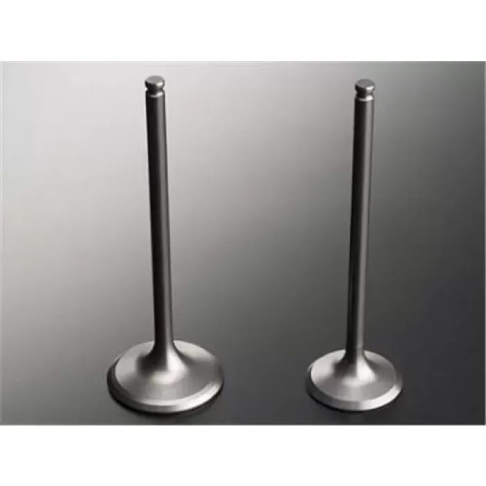 Subap Takimi Slx Tempra 1,6 (In 4 / Ex 4) | GUNES 1373-1374 | OEM 7617500 4315062
