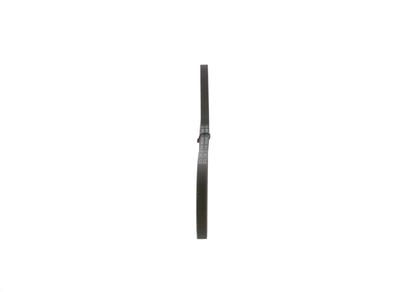 Kanalli Kayis 3PK0736 | BOSCH 1987947800