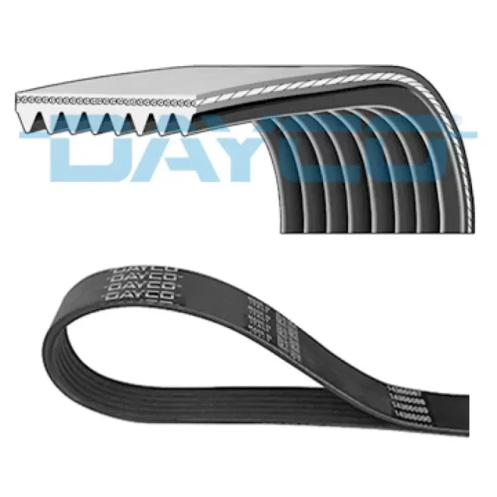 Kanalli Kayis Scania 04 | DAYCO 8PK2285HD | OEM 1768720