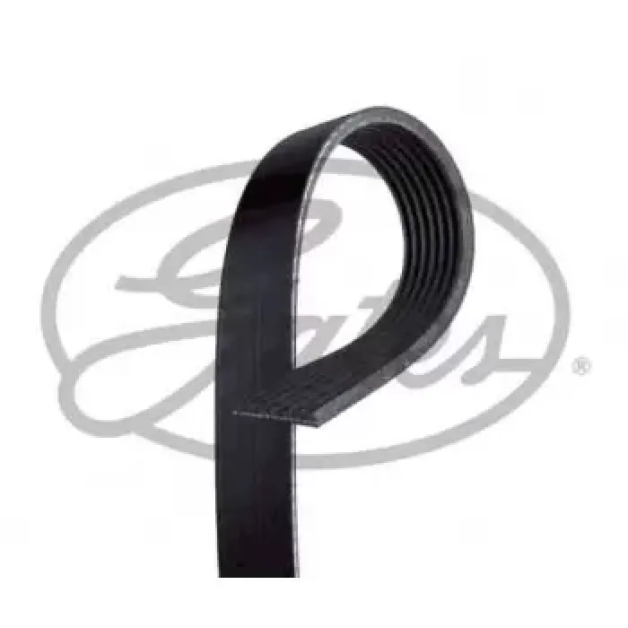 Kanalli Kayis Transit 300 330 350 2,4TDCI 06=> 350 430 460 2,4TDCI 3,2TDCI 06=> | GATES 7PK2683 | OEM 6C1Q 6C301 GC 1440086 6C301 1440086